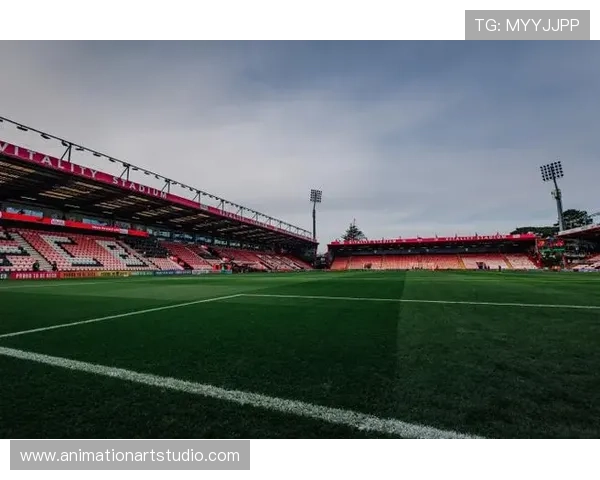 英超伯恩茅斯维塔利蒂球场