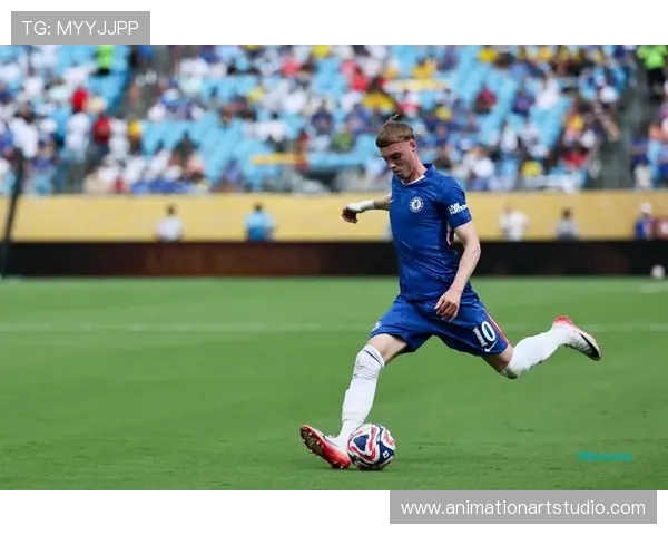 从河床到本菲卡再到切尔西:恩佐职业生涯全景复盘 从河床到本菲卡再到切尔西:恩佐职业生涯全景复盘